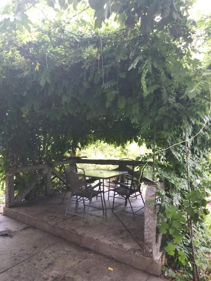 Casa Da Vovo Villa Amarante Værelse billede